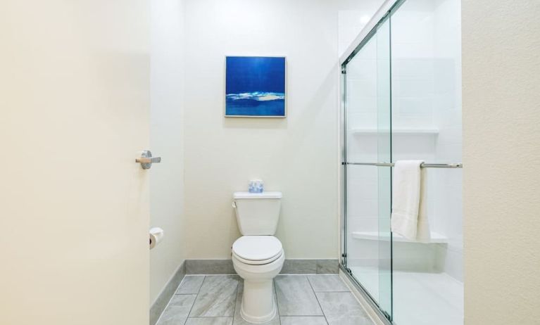 Private guest bathroom with shower and free toiletries at Palace Inn Blue IAH East.