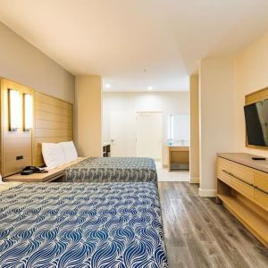 Day use twin room with private bathroom and workspace at Palace Inn Blue IAH East.