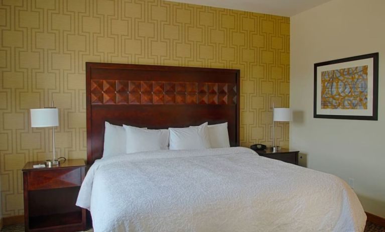 King bed at Hampton Inn & Suites Trophy Club - Fort Worth North, TX.