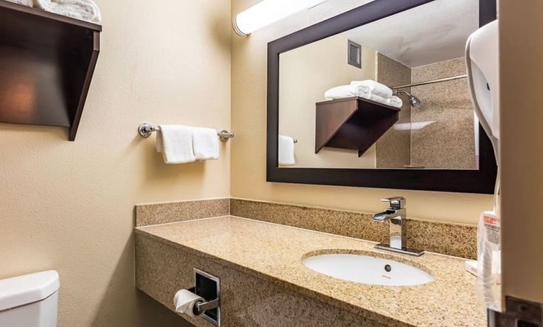 Private guest bathroom with shower and free toiletries at Red Roof PLUS+ & Suites Houston - IAH Airport SW.