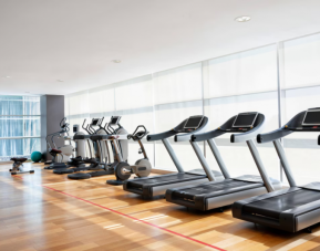 Hotel Sheraton Milan Malpensa Airport & Conference Centre, Milan