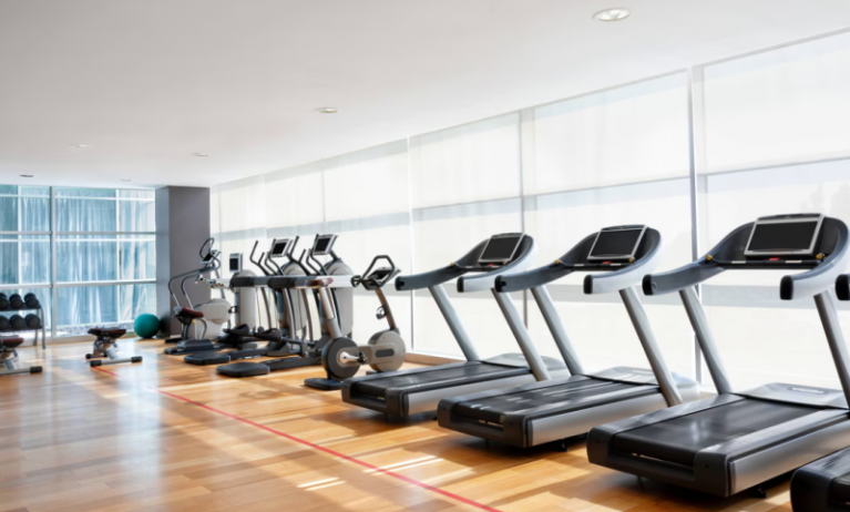 Hotel Sheraton Milan Malpensa Airport & Conference Centre, Milan