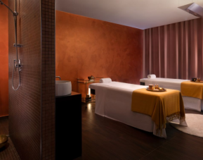 Hotel Sheraton Milan Malpensa Airport & Conference Centre, Milan