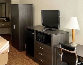 TV and work desk at Hibiscus Inn & Suites.