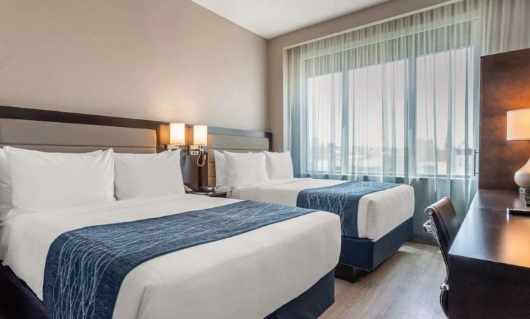 Day use twin room with large windows, work desk and private bathroom at Comfort Inn Prospect Park-Brooklyn.