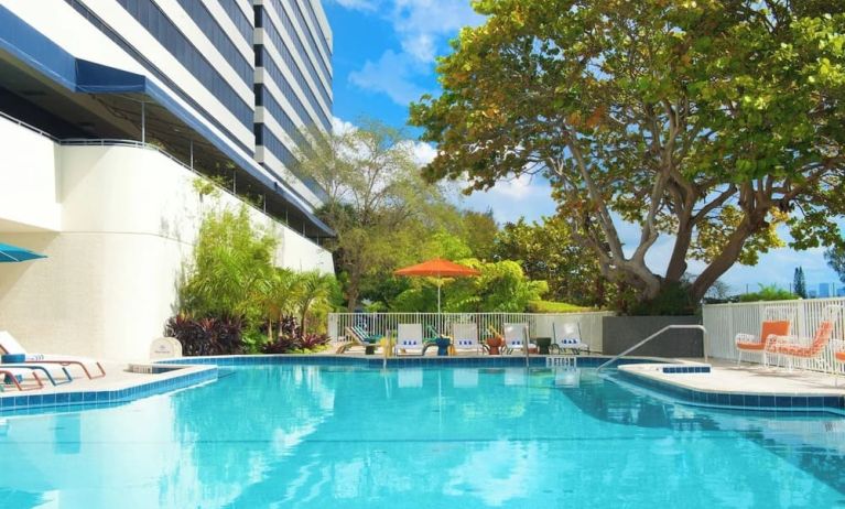 Outdoor pool with lounge chairs at Sheraton Miami Airport Hotel.