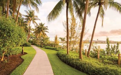Hotel garden at Hilton Miami Airport Blue Lagoon.