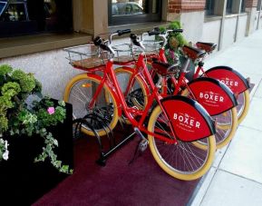 Bicycle rentals available at The Boxer Boston.