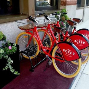 Bicycle rentals available at The Boxer Boston.