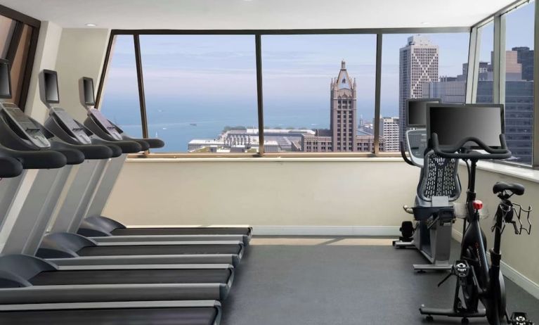 Fitness center at Homewood Suites By Hilton Chicago Downtown/Magnificent Mile.