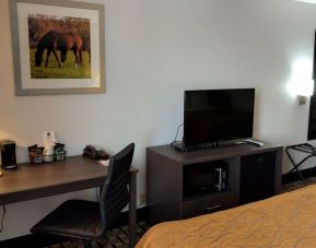 Day use room at Spark By Hilton Lexington Hamburg.