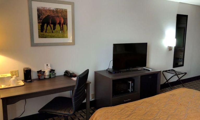 Day use room at Spark By Hilton Lexington Hamburg.