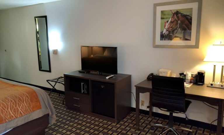 Day use room at Spark By Hilton Lexington Hamburg.