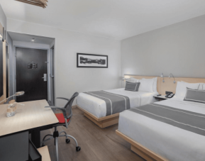 City Express Plus by Marriott Insurgentes Sur, Mexico City