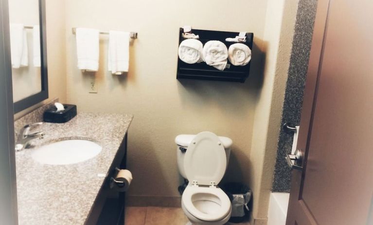 Guest bathroom at Spark By Hilton Missouri City.