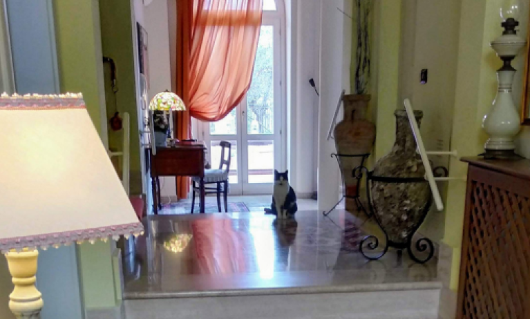 B&B Palazzo Mestichelli Boutique Palace, Monteprandone