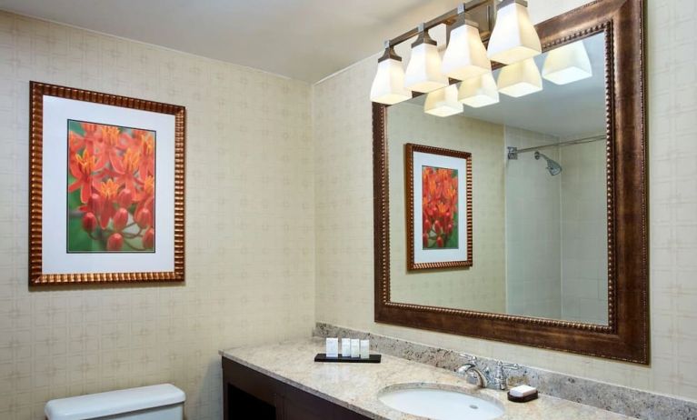 Day use room at Embassy Suites By Hilton Parsippany.