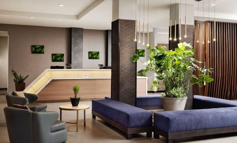 Lobby and lounge at SpringHill Suites By Marriott Milpitas.