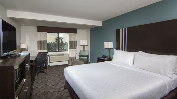 Hotel Holiday Inn Express Hotel & Suites Carlsbad Beach By IHG image