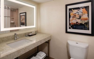 Guest bathroom with shower at Embassy Suites by Hilton San Francisco Airport.