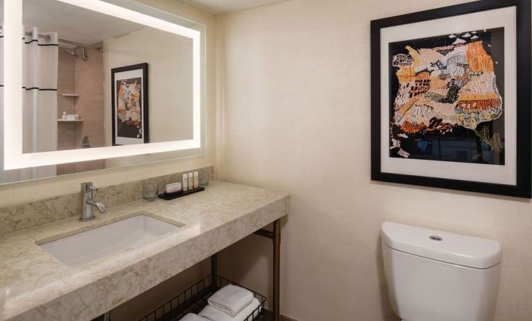 Guest bathroom with shower at Embassy Suites by Hilton San Francisco Airport.