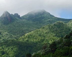 Local natural landmark at DREAMCATCHER By DW.