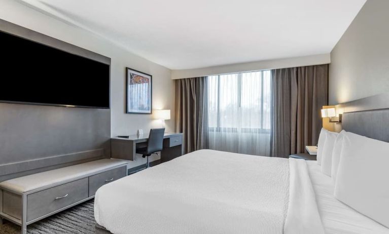 Day use room at Best Western Premier Rockville Hotel & Suites.