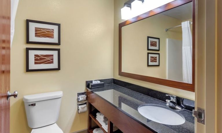 Guest bathroom at Comfort Inn & Suites North Aurora - Naperville.