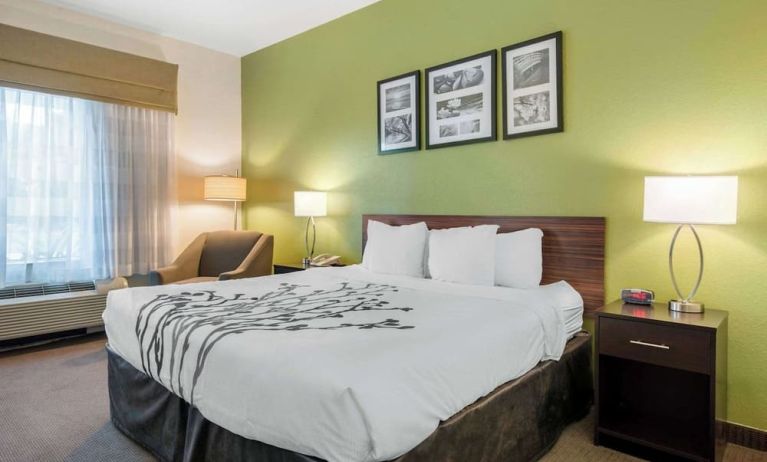 Day use room at Sleep Inn & Suites Port Charlotte - Punta Gorda.