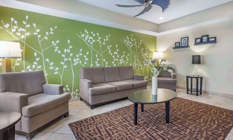 Lobby seating at Sleep Inn & Suites Port Charlotte - Punta Gorda.