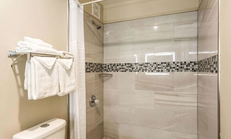 Guest bathroom at Econo Lodge Inn & Suites Murfreesboro Shopping District.