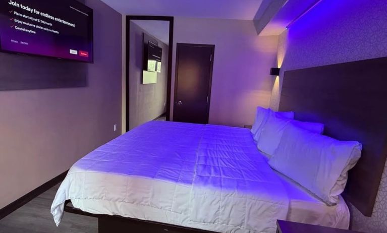 King room at THE VINE HOTEL BRONX.