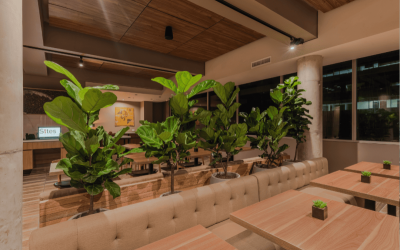 Hotel Sites Barranquilla