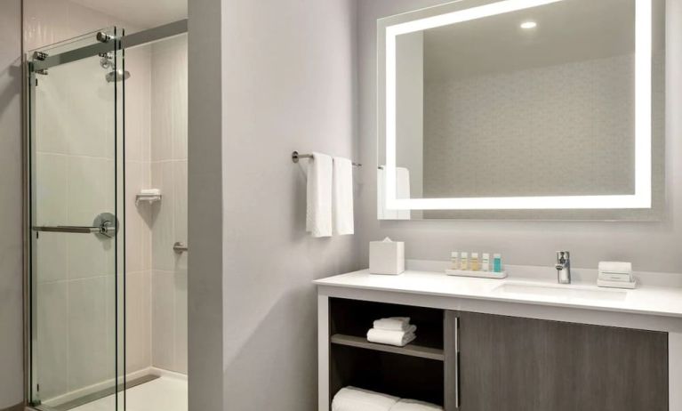 Guest bathroom at Embassy Suites By Hilton Atlanta Midtown.