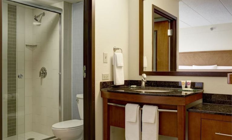 Guest bathroom at Hyatt Place Fremont/Silicon Valley.