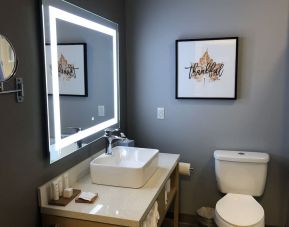 Guest bathroom at Radisson Hotel Atlanta Airport.