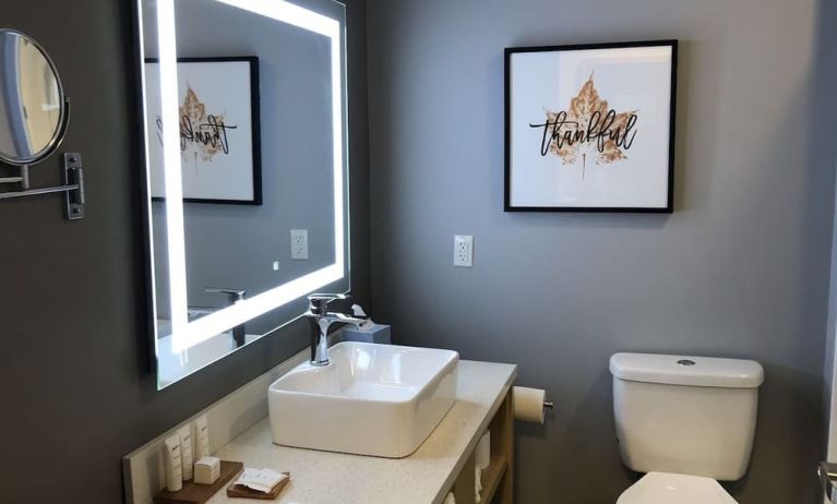 Guest bathroom at Radisson Hotel Atlanta Airport.