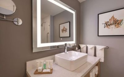 Guest bathroom at Radisson Hotel Atlanta Airport.