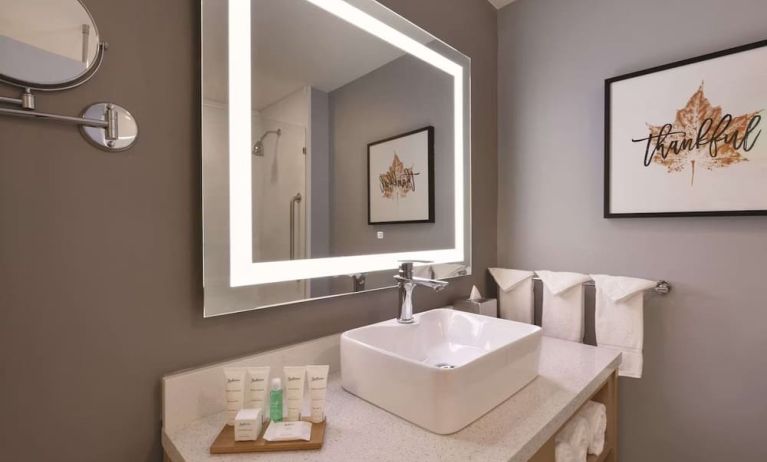 Guest bathroom at Radisson Hotel Atlanta Airport.