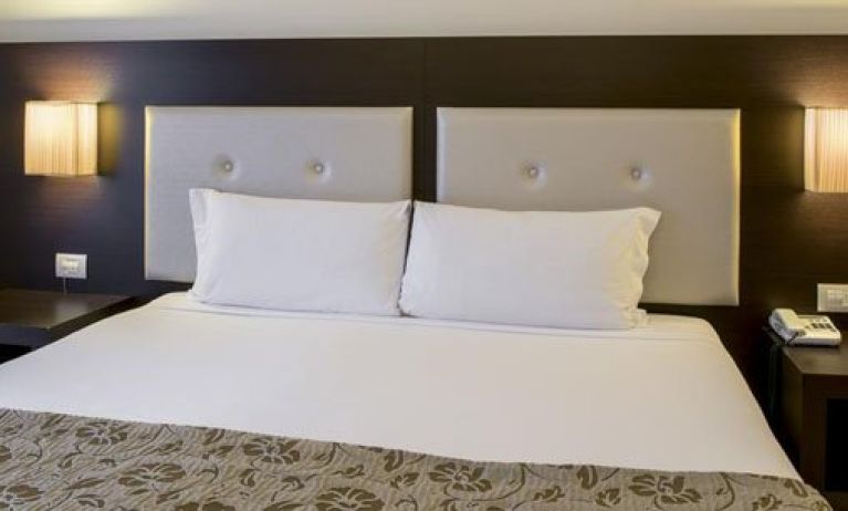 Hotel Executive, Siena