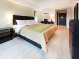 Hotel Umbrella Hotel Kew Gardens image