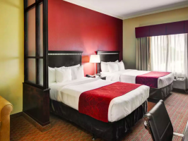 Hotel Comfort Suites Fort Worth South image