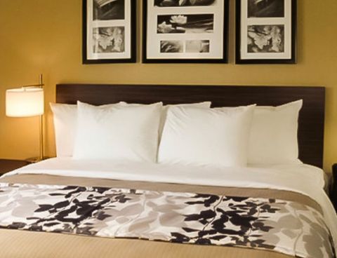 Hotel The Vue Inn image