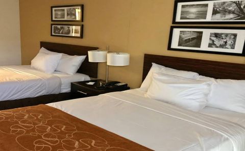 Hotel The Vue Inn image