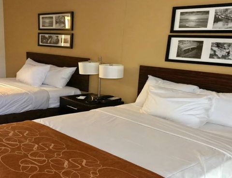 Hotel The Vue Inn image