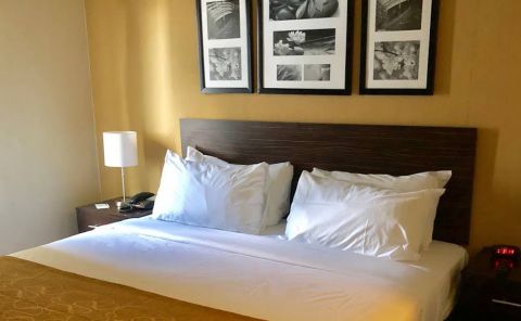 Hotel The Vue Inn image