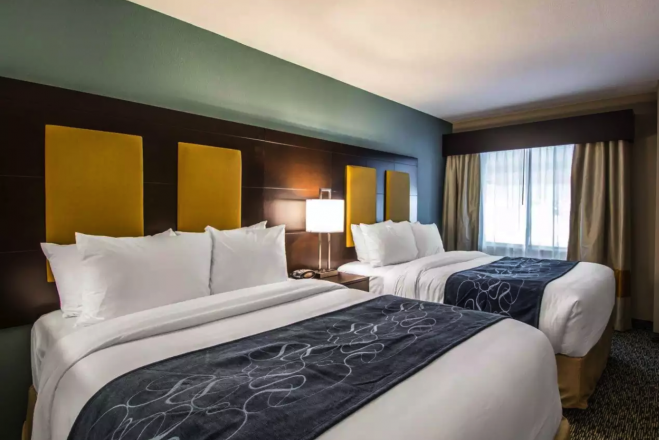 Comfort Suites Fort Lauderdale Airport South Cruise Dania Beach