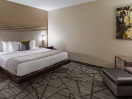 Hotel Best Western Plus Inn & Suites Houston image