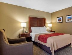 Hotel Comfort Inn Sandy Springs - Perimeter image