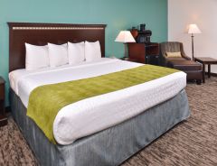 Hotel Best Western Plus Chicagoland-Countryside image